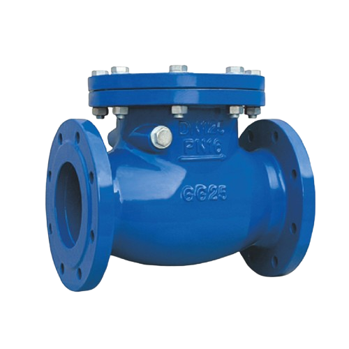 Swing Check Valve