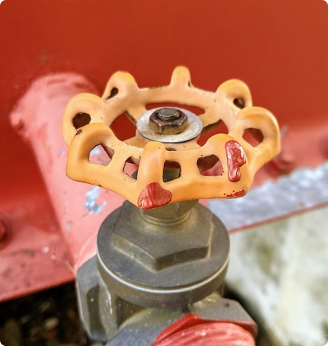 Swing Check Valve Overview