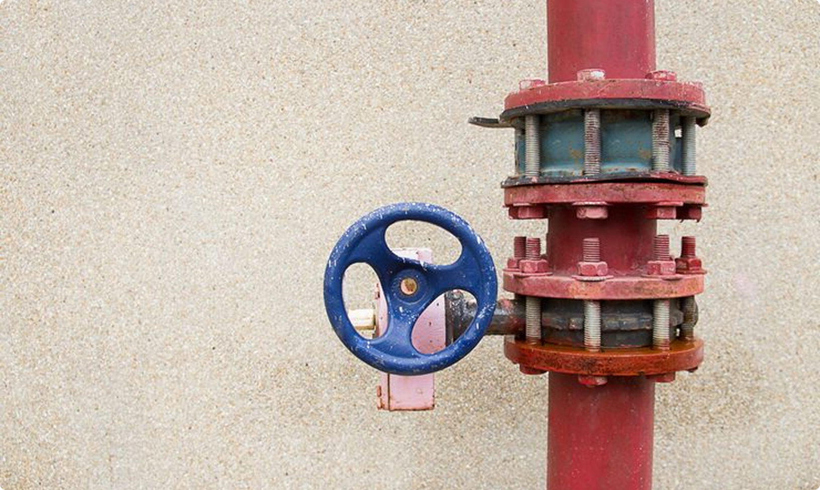 Swing Check Valve