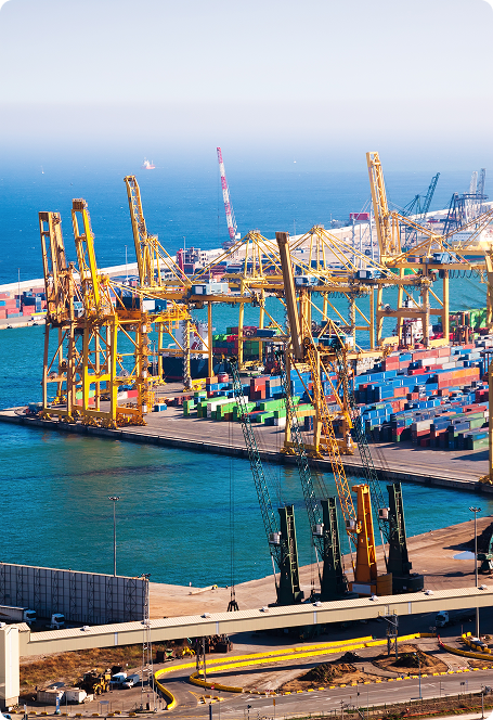 Haalace Global Shipping Port Logistics